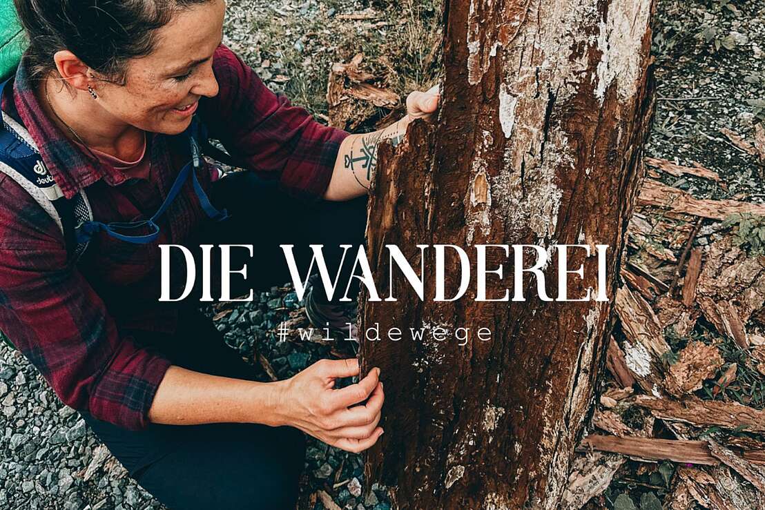 Weg der Sinne Weg der Sinne