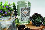 Gin-Tastings im Harz