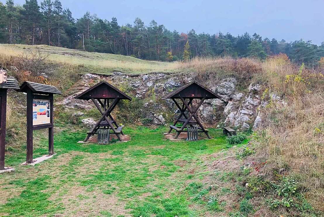 Rapsfelder und Fischzucht-Teiche hinter dem Europadorf Auleben