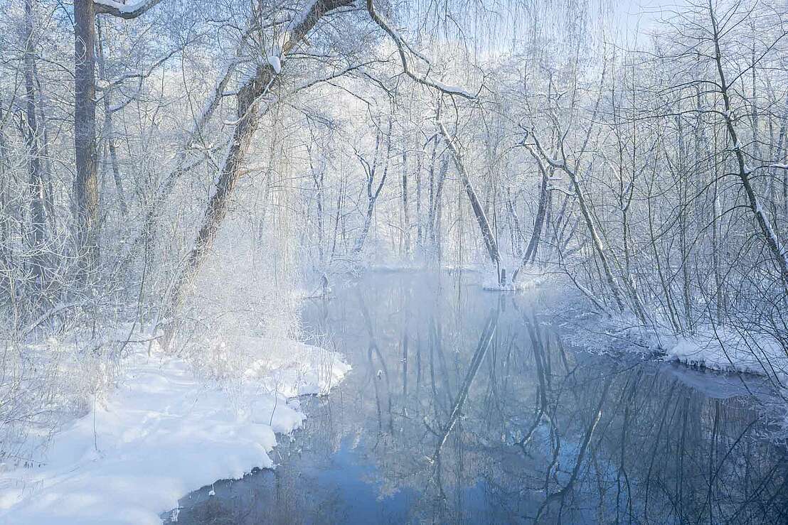 Szene wie aus einem Wintermärchen