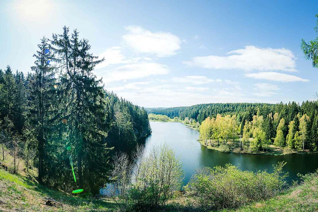 Blick von der Burgstelle auf die Rappbode-Vorsperre