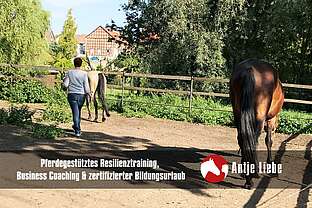 authentisches Auftreten - pferdegestützte Arbeit