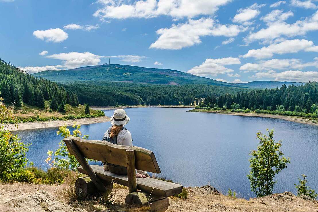 Rast an der Eckertalsperre