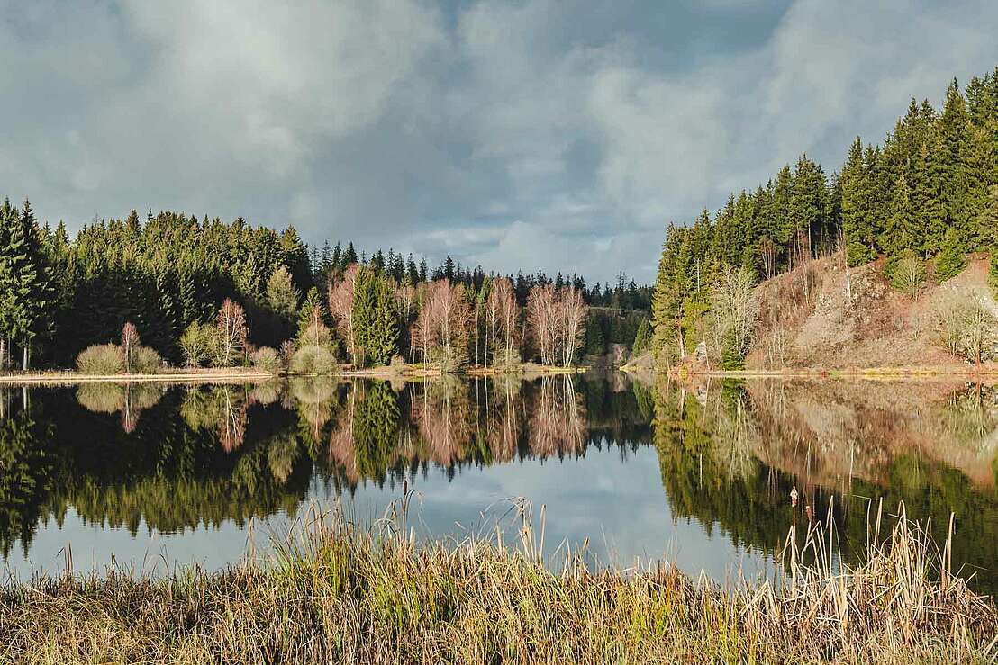 Vorbecken der Rappbodetalsperre bei Trautenstein