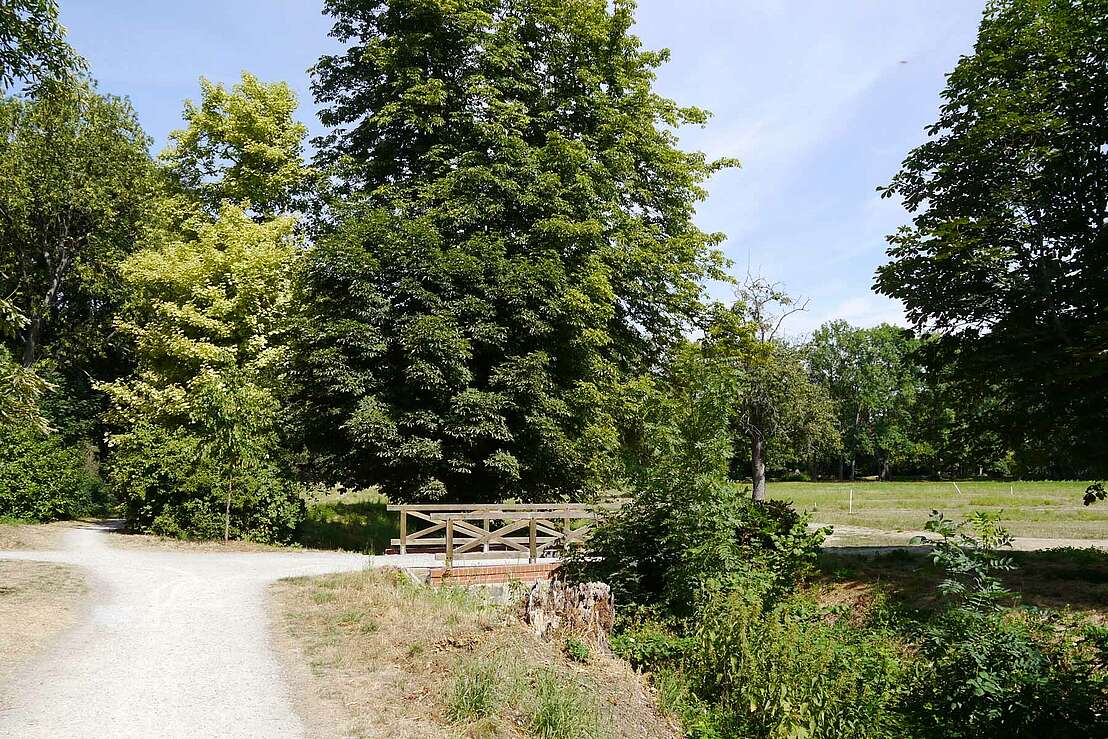 Parkanlage Schloss Hessen