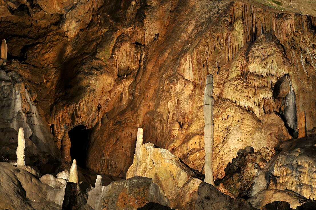 Stalagmiten in der Baumannshöhle