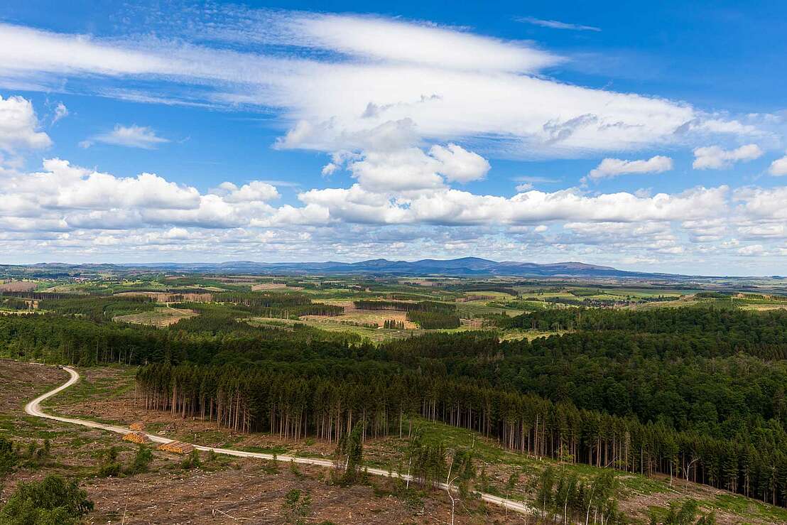 Aussicht vom Carlshausturm zum Brocken