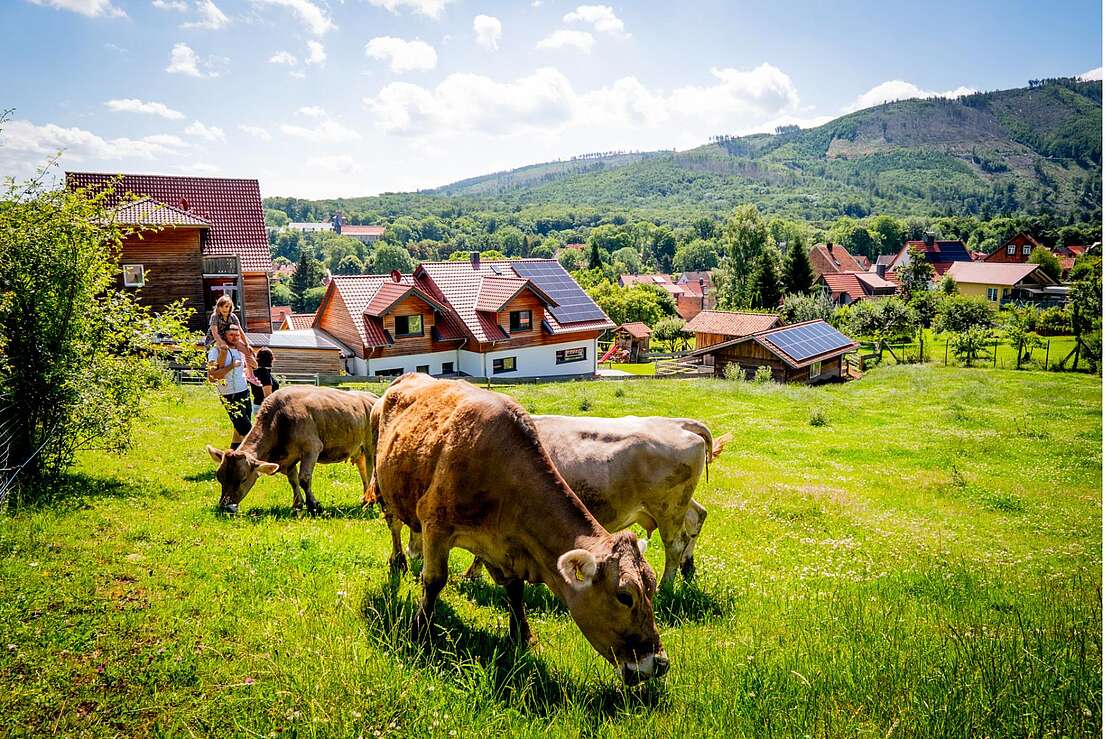 Hinter dem Gebäude