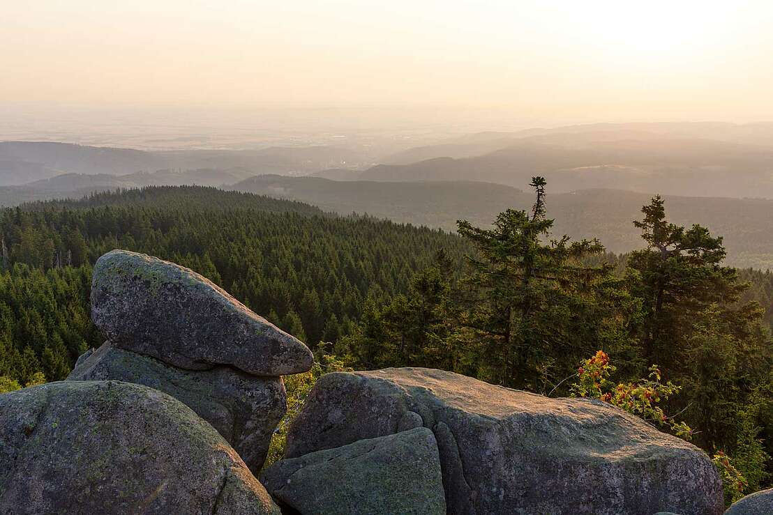 Die Leistenklippe auf dem Hohnekamm im Harz