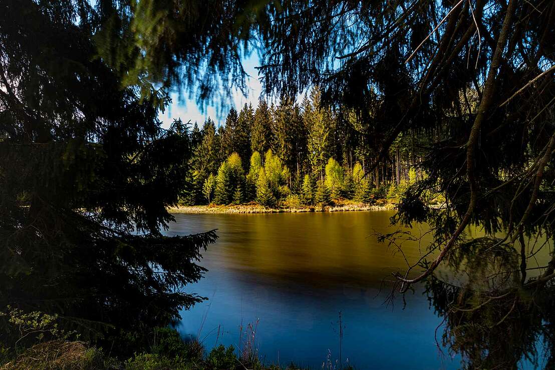 Idylle am Bärenbrucher Teich