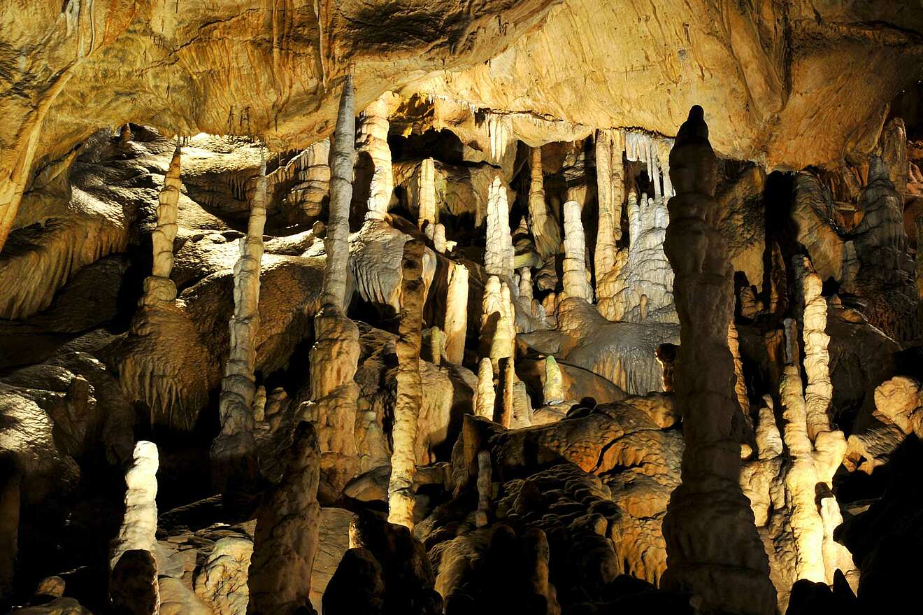 Baumannshöhle Rübeland