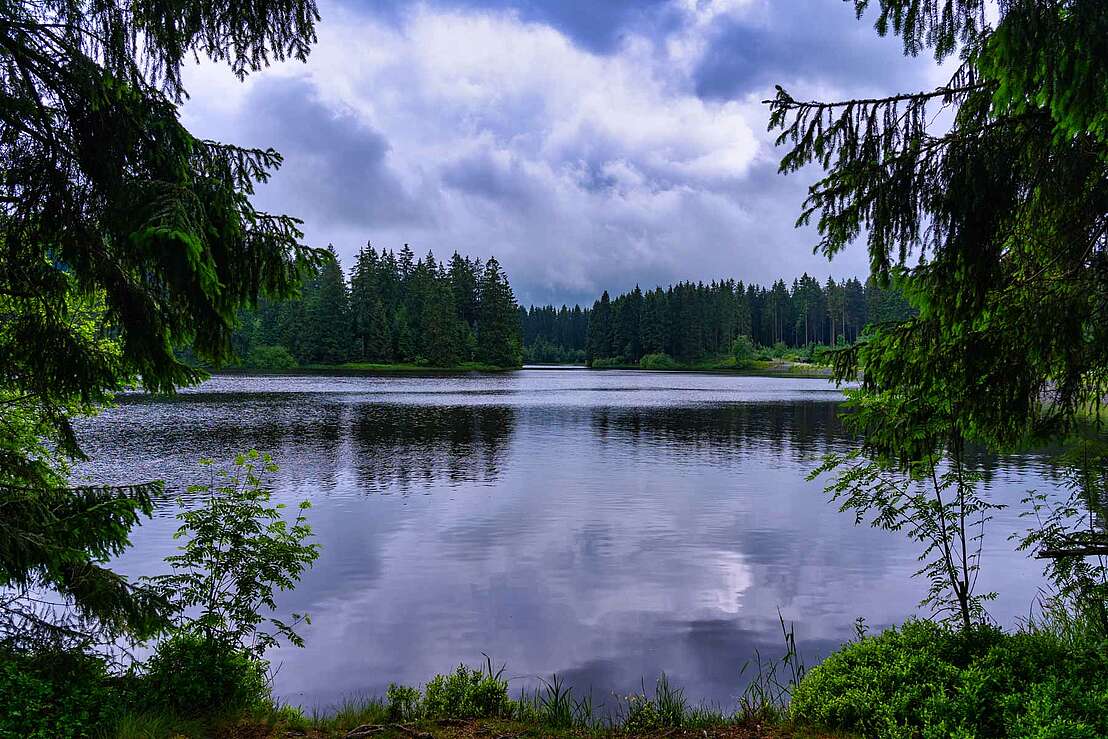 Ruhe am Bärenbrucher Teich