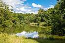 Röderhofer Teich in Dingelstedt am Huy