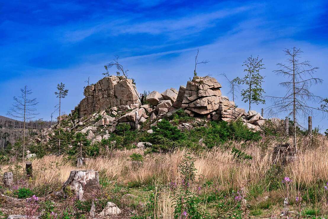 Granitfelsen der Mäuseklippe im Harz
