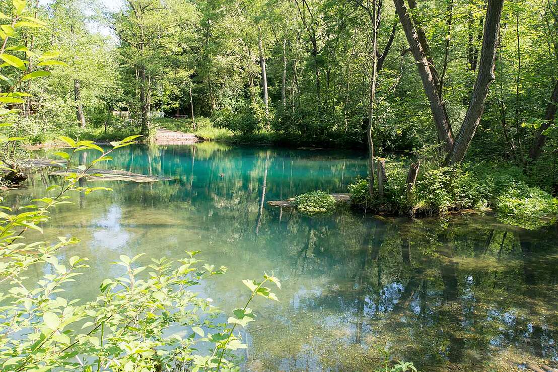 Blick von Süden über den Teich der Rhumequelle