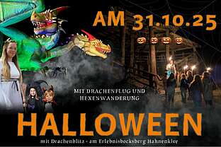 Halloween mit Drachenblitz