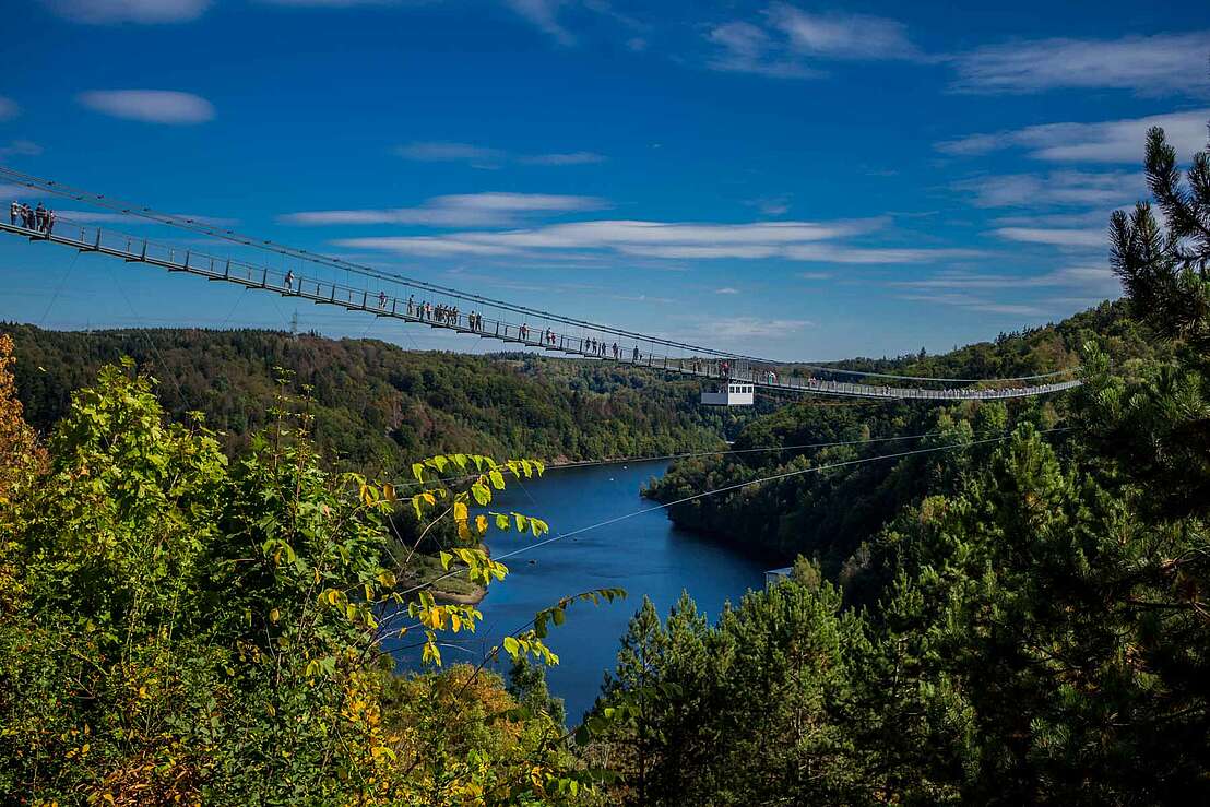 Die Hängebrücke über der Bode