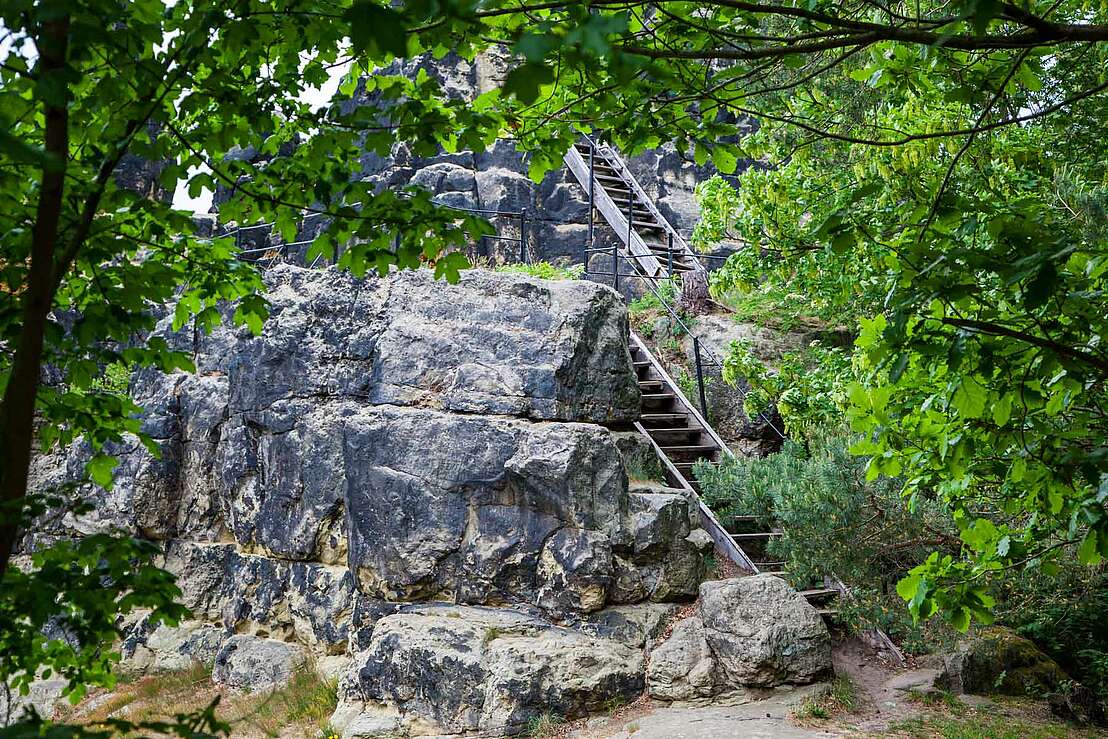 Gläserner Mönch bei Halberstadt