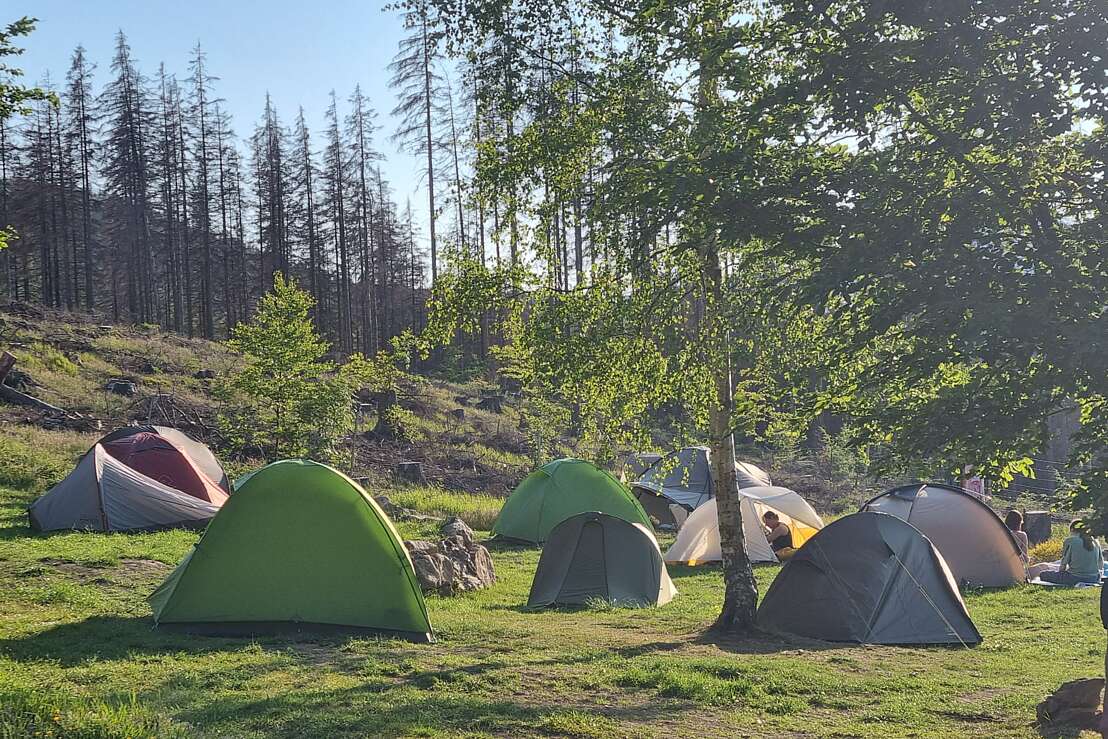 Harz Mountain Camp - Zeltgelände 