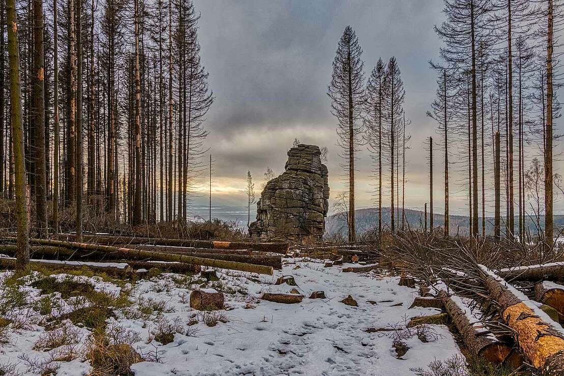 Feuersteinklippe im Nationalpark Harz