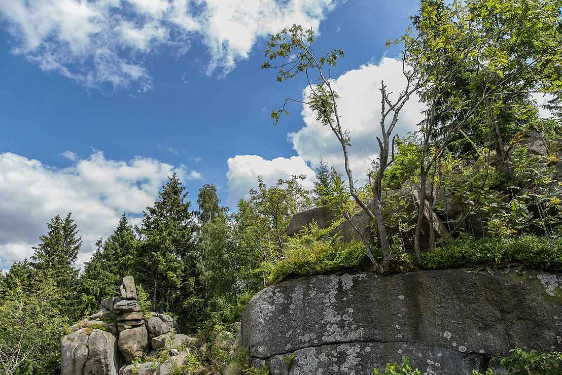 Kästeklippen über dem Okertal