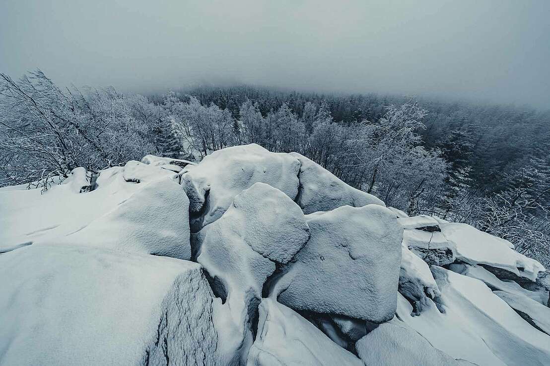 Leistenklippe im Schnee