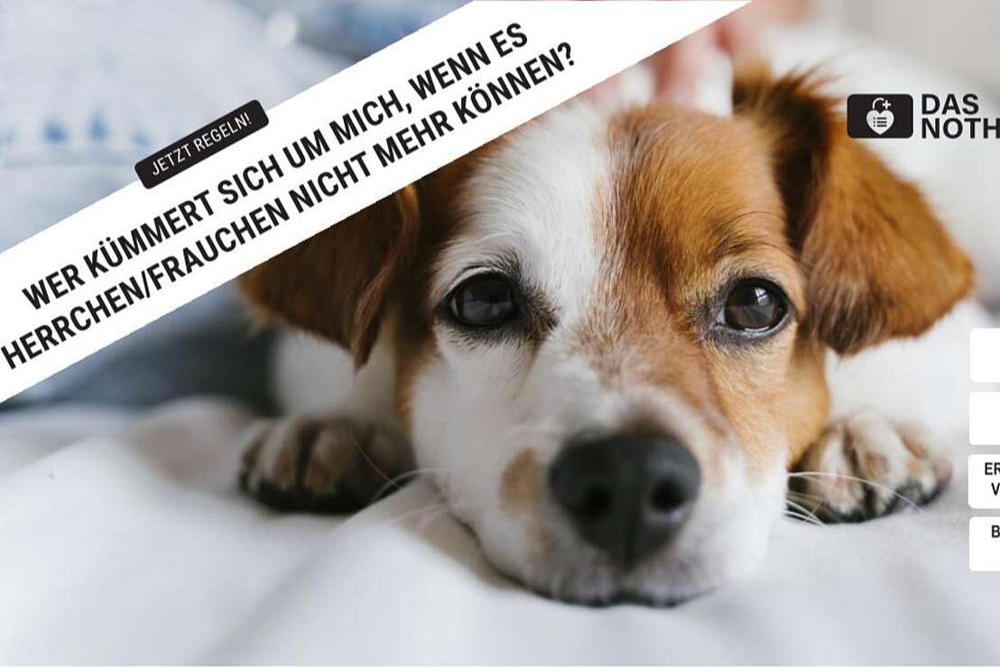 Das Nothilfesystem
