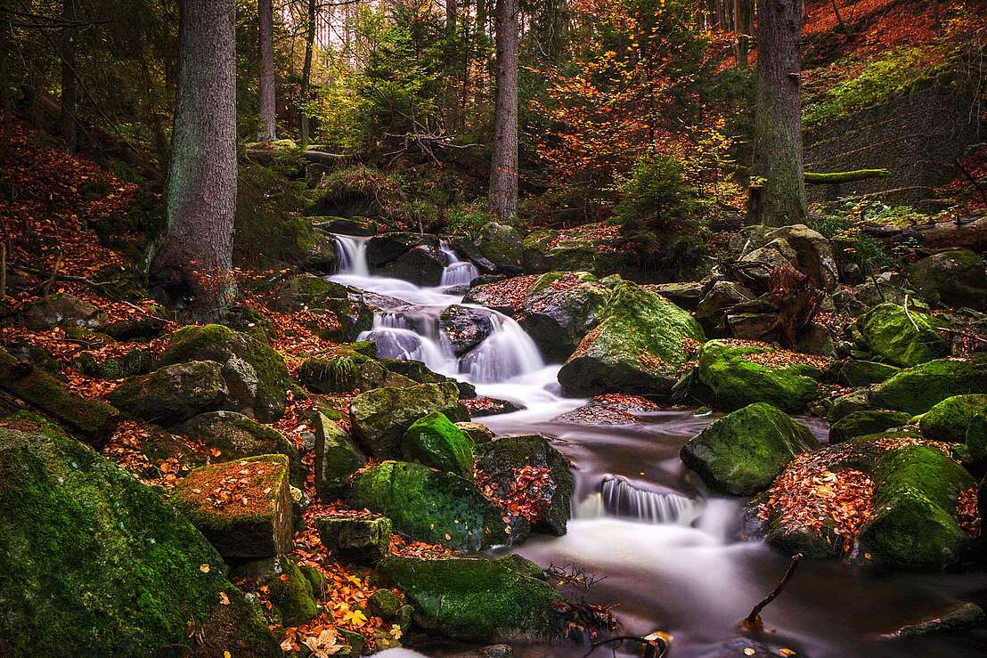 Ein Wasserfall wie aus einem Märchen