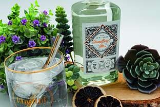 Gin-Tastings im Harz Gin-Tastings im Harz
