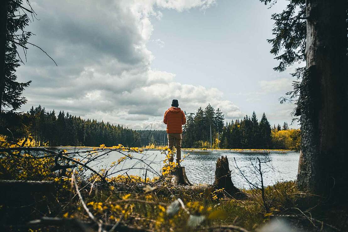 Blick vom Ufer über den Teich