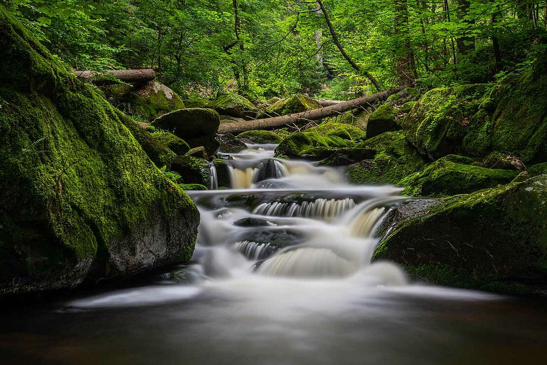 Ilsefälle mit moosbewachsenen Felsen