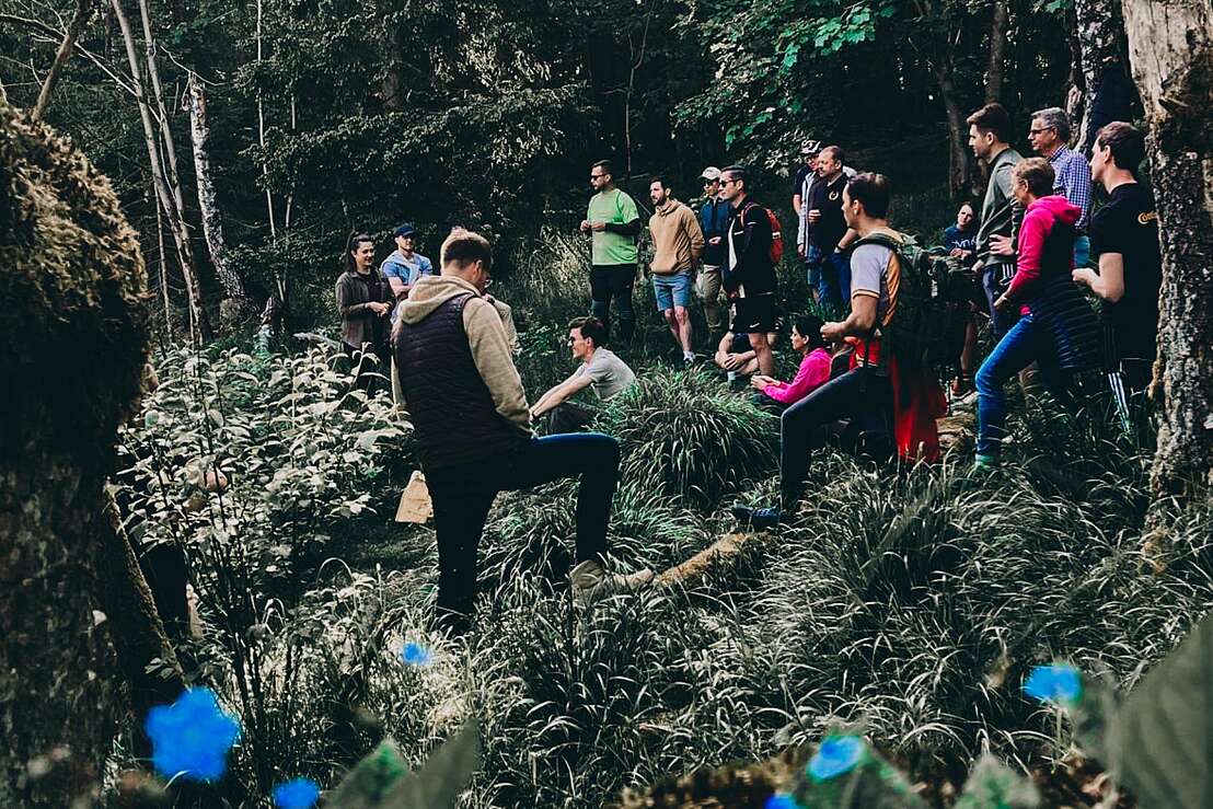 Waldwandel  - gemeinsamer Austausch