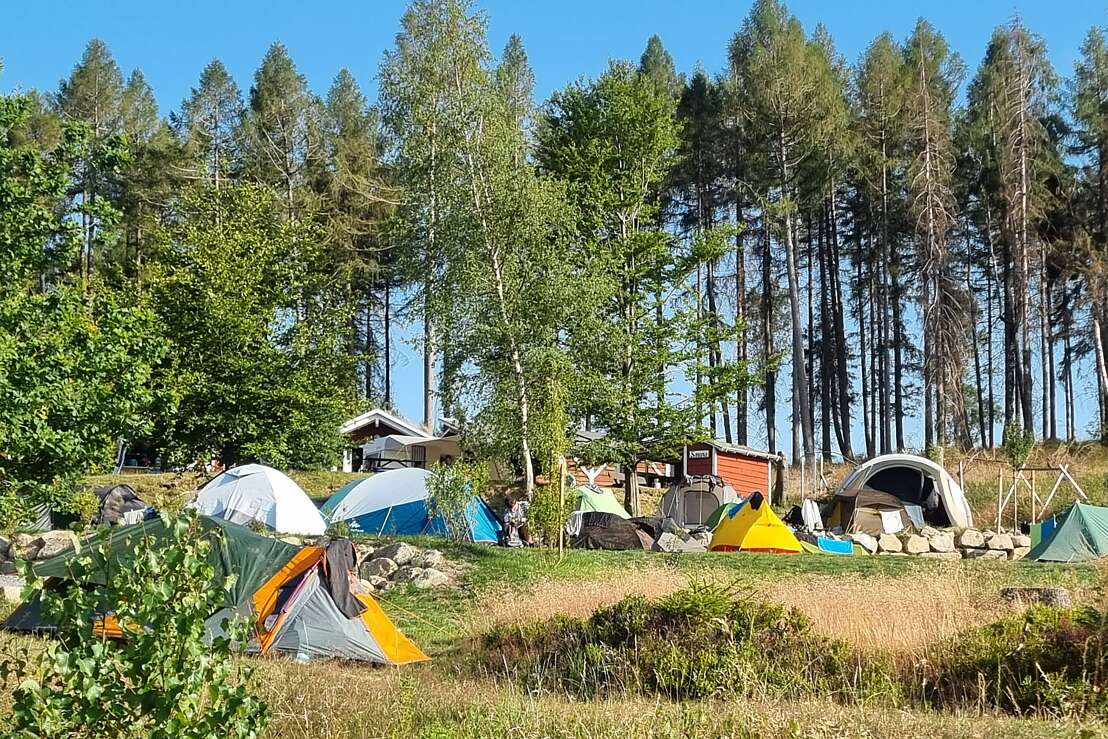 Harz Mountain Camp - Zeltterrassen mit Ausblick auf die Fass-Sauna im Hintergrund 