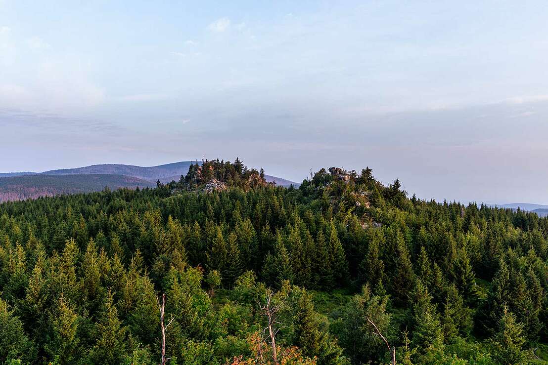 Hohnekamm zum Sonnenaufgang