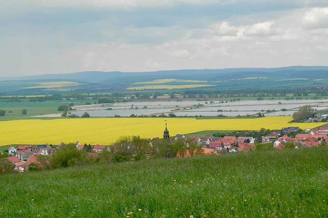 Rapsfelder und Fischzucht-Teiche hinter dem Europadorf Auleben