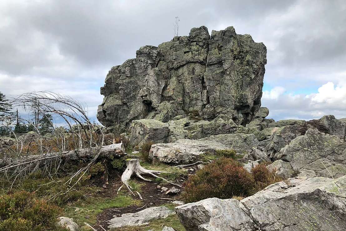 Felsen Gestein