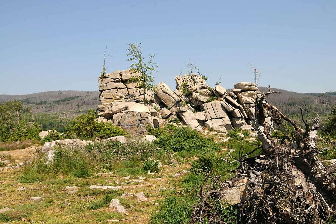 Mäuseklippe bei Schierke