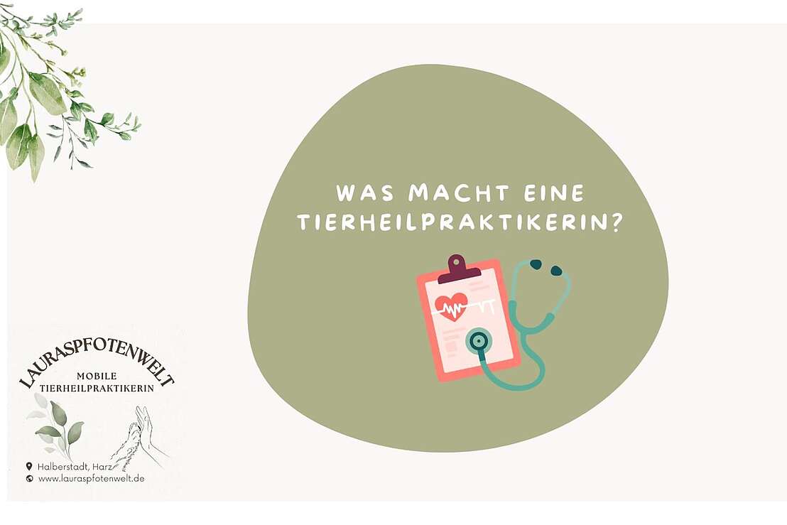 Präsentation 