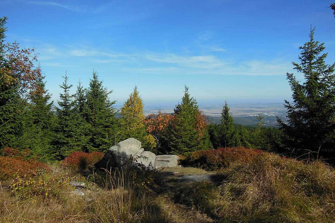 Auf der Leistenklippe im Nationalpark Harz