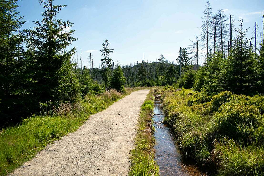 Wanderweg von Torfhaus zum Brocken