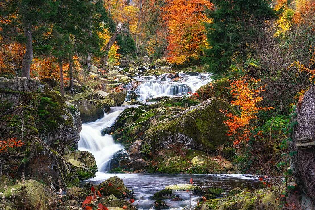 Idylle an der Ilse im Herbst