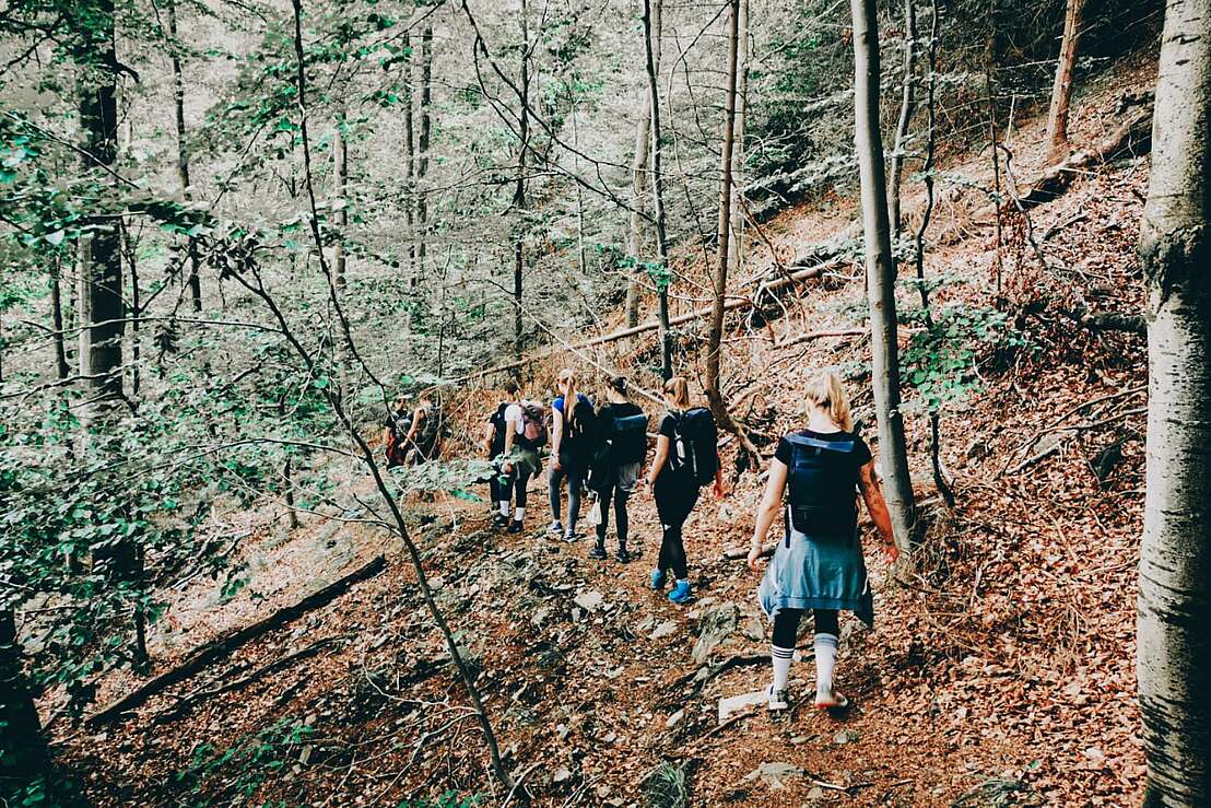 Achtsames Wandern mit allen Sinnen Achtsames Wandern mit allen Sinnen