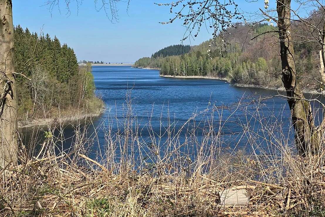 Granetalsperre Rundweg