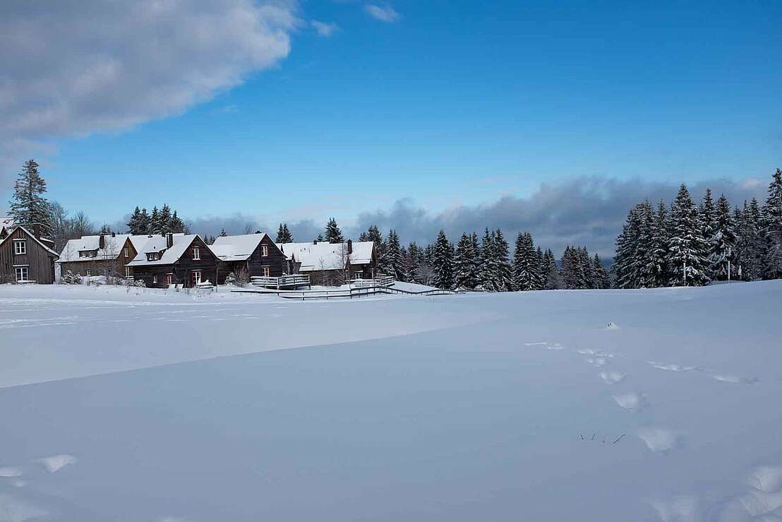 Torfhaus im Schnee