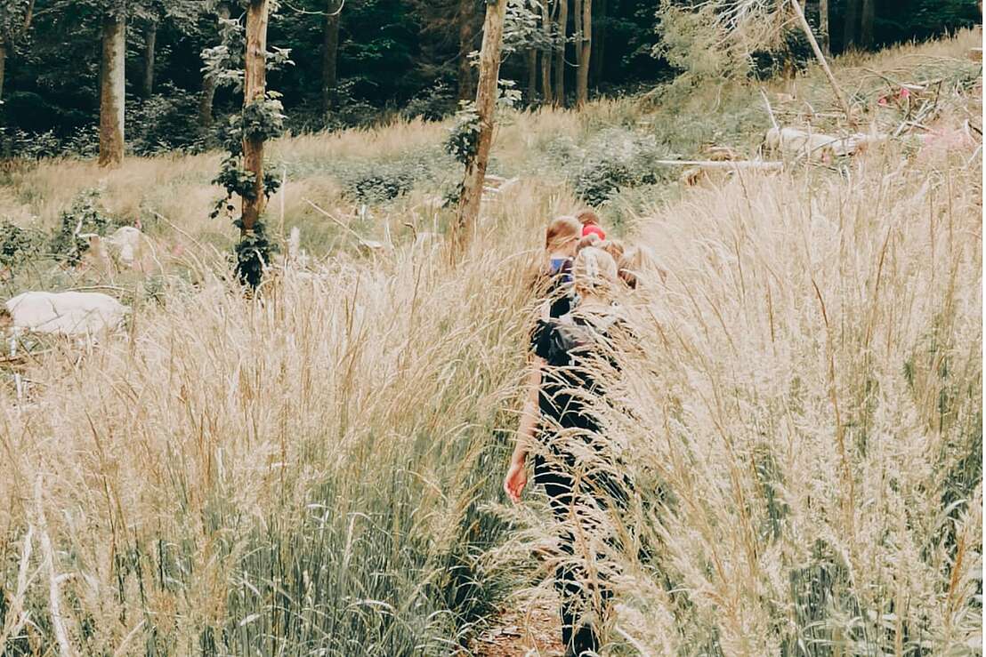 Weg der Sinne Weg der Sinne