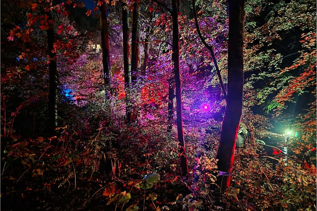 Illumination kalte Bode