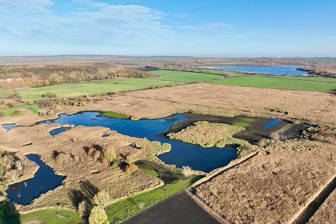 Seeland Natur und Vogelschutzgebiet Froser Auenland
