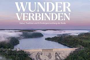 Buch Wunder verbinden Buch Wunder verbinden