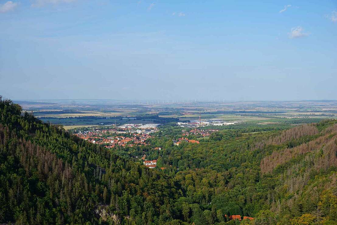 Blick vom Ilsestein über Ilsenburg