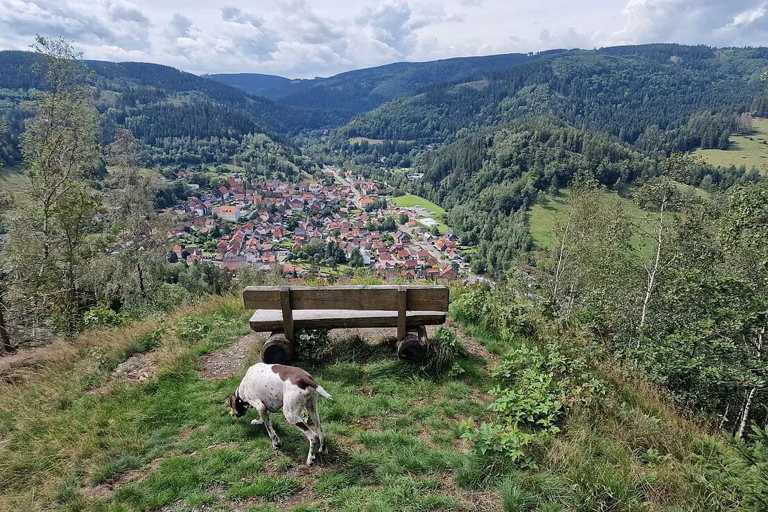 Aussichtspunkt